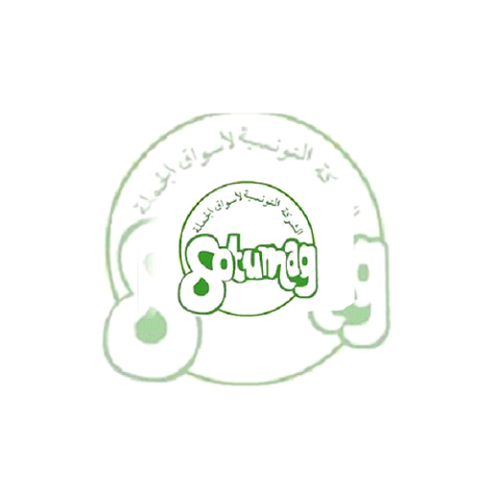 SOTUMAG